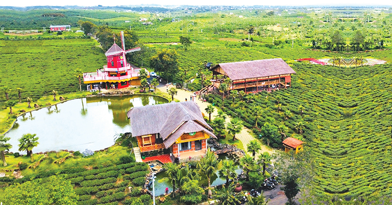 Làng Chè Tây Nguyên được nhiều thành viên của Chi hội Sản vật Tây Nguyên cùng thành lập là điểm tham quan hấp dẫn (ảnh nhân vật cung cấp)